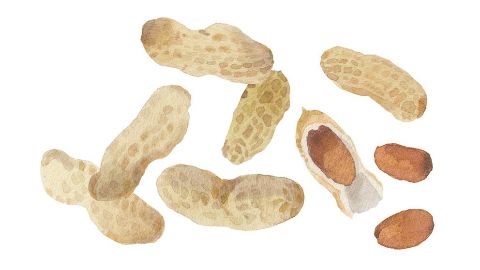 Aceite de Maní