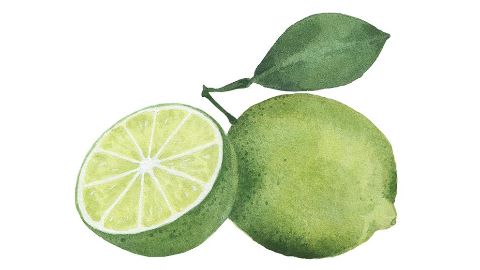 Aceite de cáscara de Naranjo amargo