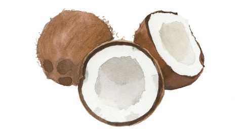 Aceite de Coco