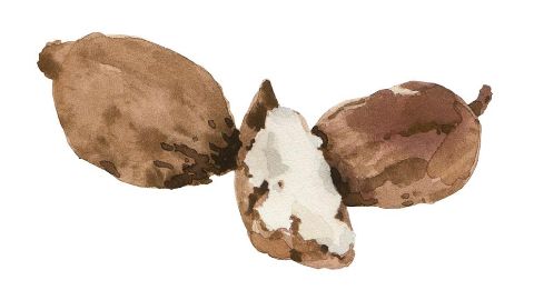 Aceite de Babassu