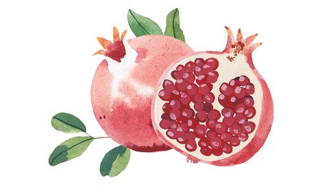 Extracto de Punica Granatum