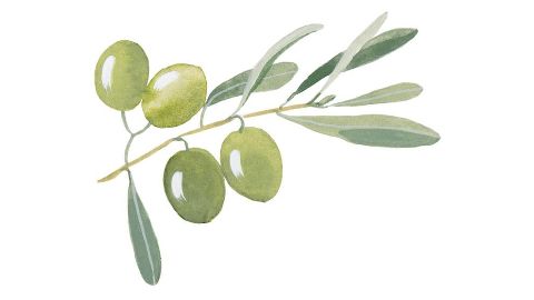 Olivato de sodio