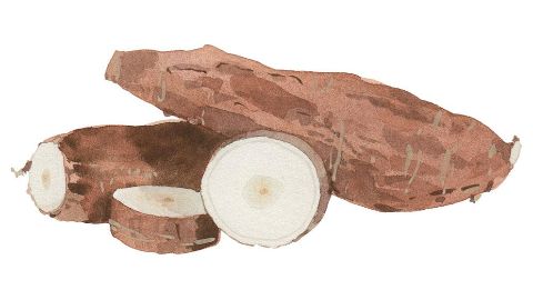 Almidón de Tapioca